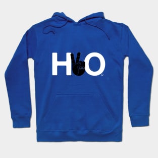 H2O Hoodie